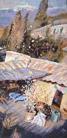 SURVOL A FLASSANS - 70x35